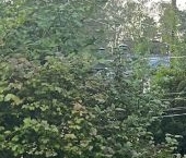 Продать Квартиры вторичка Всеволожск, Николаевская улица, 38   