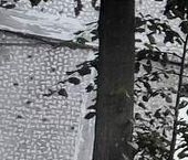 Продать Квартиры вторичка Щелково, Пролетарский проспект, 17   