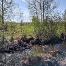 Продажа земли Хаппо-ое массив