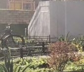 Сдать в аренду Квартиры вторичка проспект Королева, 71к1   