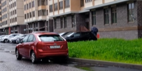 Студия Ломоносов г., Михайловская ул. ,  д. 51