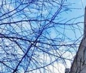 Продать Квартиры вторичка Большая Филевская улица, 13   