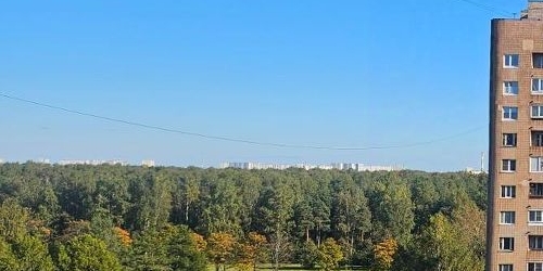 1-комн квартира проспект Непокоренных, 16к1Ж