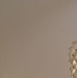 Продажа комнаты проспект Большой Петроградской стороны, 56 Продажа комнаты проспект Большой Петроградской стороны, 56