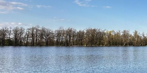 3-комн квартира Петергоф, Санкт-Петербургский проспект, 33