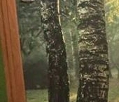 Сдать в аренду Квартиры вторичка Бескудниковский бульвар, 2К1   