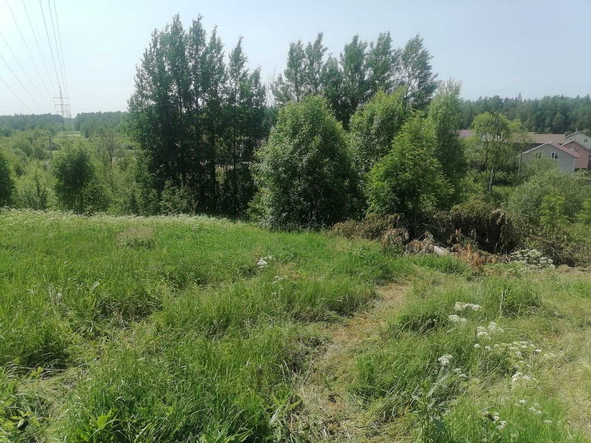 Продажа земли Солнечная равнина кп, Кискелово массив, улица Центральная,  д. 8
