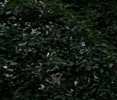 Продать Квартиры вторичка улица Трофимова, 24К1   