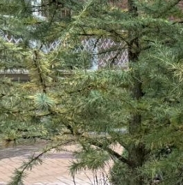 Продажа 1-комн квартиры на вторичном рынке с. Николо-Урюпино, улица Полковника Глазунова, 15 Продажа 1-комн квартиры на вторичном рынке с. Николо-Урюпино, улица Полковника Глазунова, 15