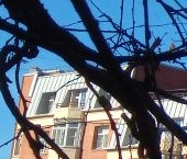 Продать Квартиры вторичка Павловск, Березовая улица, 25   