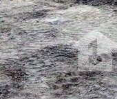 Продать Земельные участки, земля Пороги СНТ, улица 1-я Лесная   