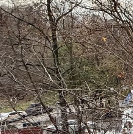 Аренда 2-комн квартиры на вторичном рынке Ярославское шоссе, 24К1 Аренда 2-комн квартиры на вторичном рынке Ярославское шоссе, 24К1