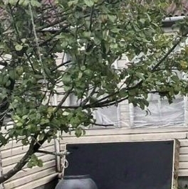 Продажа дома Корнево массив, Спутник СНТ, 198 Продажа дома Корнево массив, Спутник СНТ, 198