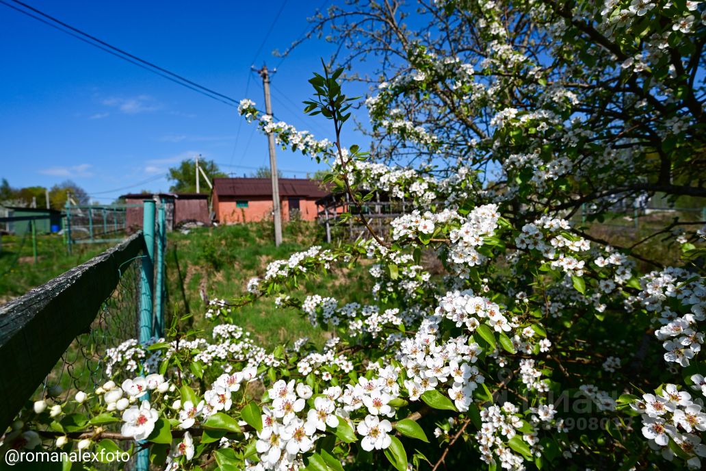 Продажа земли д. Покровская, переулок Динамовский