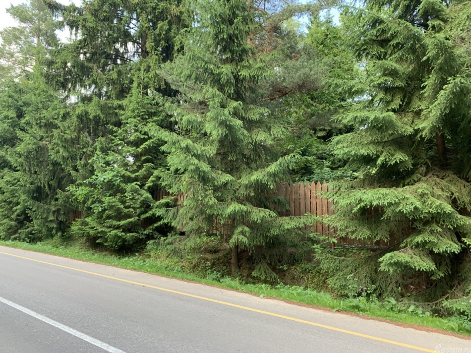 Продажа земли Домодедово, Центральная улица