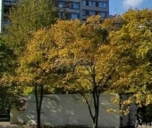 Продать Квартиры вторичка Ветеранов пр-кт   