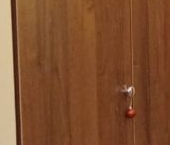 Сдать в аренду Квартиры вторичка Жуковский, Нижегородская улица, 31А   