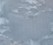 Продать Квартиры вторичка пос. Базы отдыха Солнечная поляна, 3   