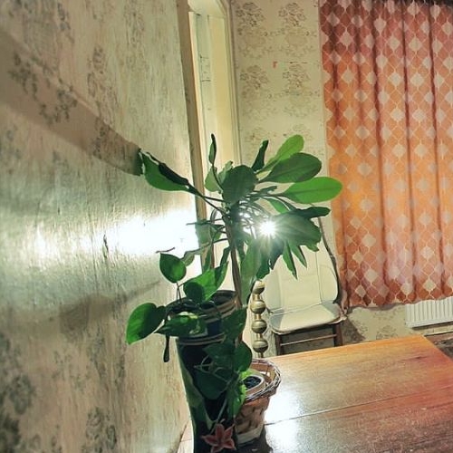 4-комн квартира 14-я Васильевского острова линия, 37