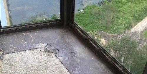 1-комн квартира п. Металлострой (Усть-Ижора), ул. Центральная,  д. 19