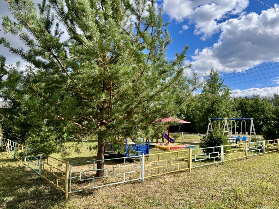 Продажа земли Пушкинский городской округ, Каштановая улица,  д. 21