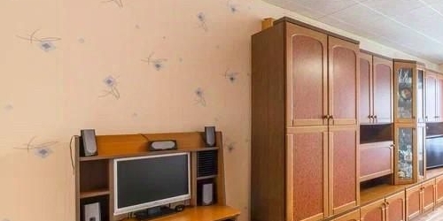 1-комн квартира проспект Косыгина, 25к1