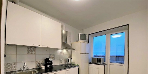 1-комн квартира Шушары п, Вишерская ул ,  д. 3,  к. 2