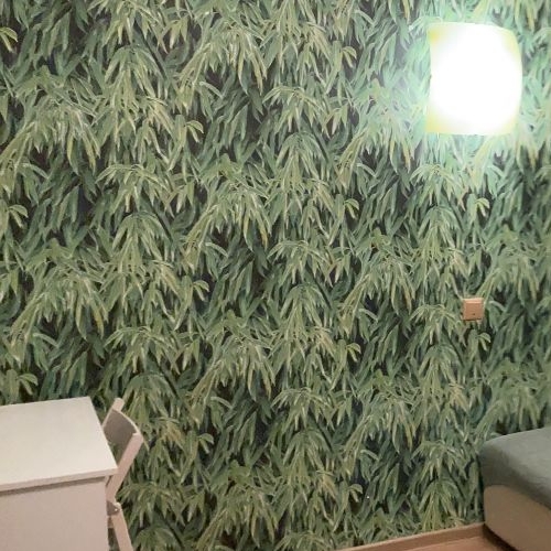 Студия пос. Бугры, улица Школьная, 11к2