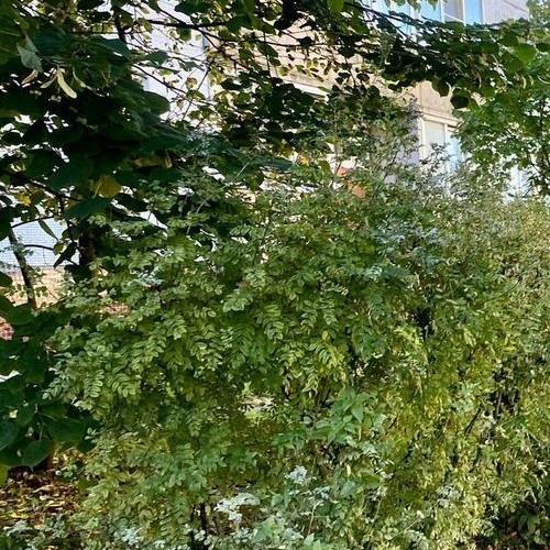 2-комн квартира Шлиссельбург, улица Староладожский канал, 26