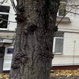 Продажа 4-комн квартиры на вторичном рынке Болотниковская улица, 1К2