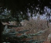 Продать Дачи, коттеджи, загородные дома Юбилейный СНТ, 1-я линия  9 