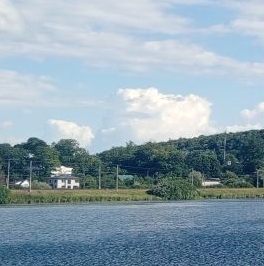 Продажа земли Вариксолово СНТ