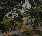 Продать Квартиры вторичка улица Фридриха Энгельса, 7-21   