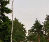 Продать Дачи, коттеджи, загородные дома Репино Парк кп  131 