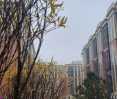 Продать Квартиры вторичка Александра Матросова ул  8 к1 