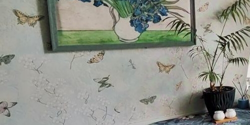 2-комн квартира Новочеркасский проспект, 61