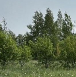 Продажа земли Рахья массив, улица Рассветная Продажа земли Рахья массив, улица Рассветная