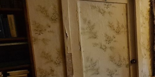 2-комн квартира Пушкин, Ленинградская улица, 20