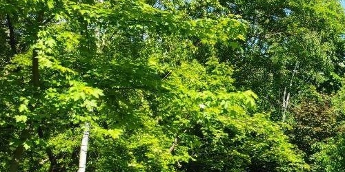 Комната Реутовская улица, 14