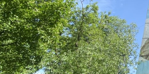 Комната Реутовская улица, 2