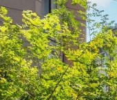 Продать Квартиры вторичка проспект Малый Петроградской стороны, 79-81-83   