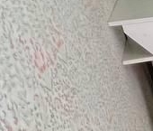 Сдать в аренду Квартиры вторичка Рижский проезд, 3   