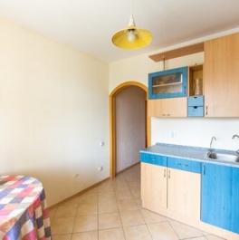 Продажа 1-комн квартиры на вторичном рынке Светлановский пр-кт,  д. 115,  к. 1