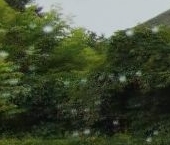 Продать Квартиры вторичка Серпухов, улица Горького, 40   