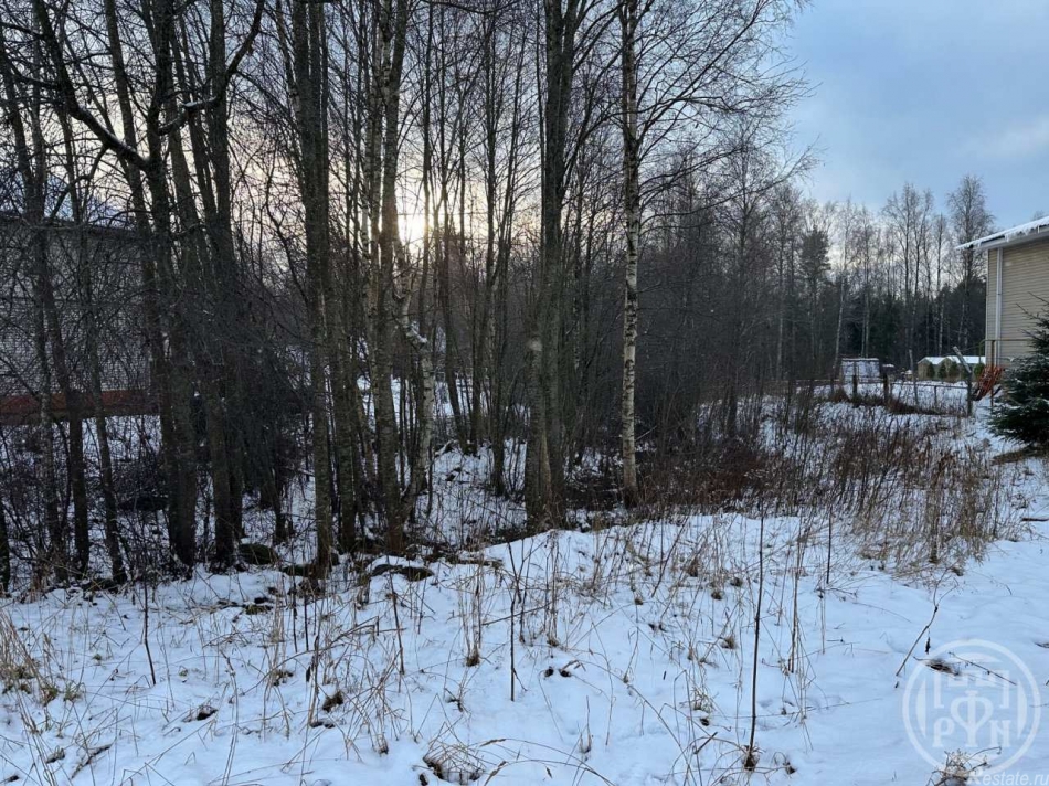 Продажа земли Белоостров массив, Поляна-2 снт.