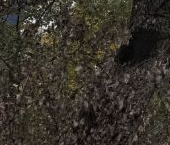 Продать Квартиры вторичка улица 800-летия Москвы, 20   