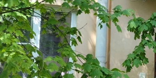 3-комн квартира проспект Обуховской обороны, 95К3