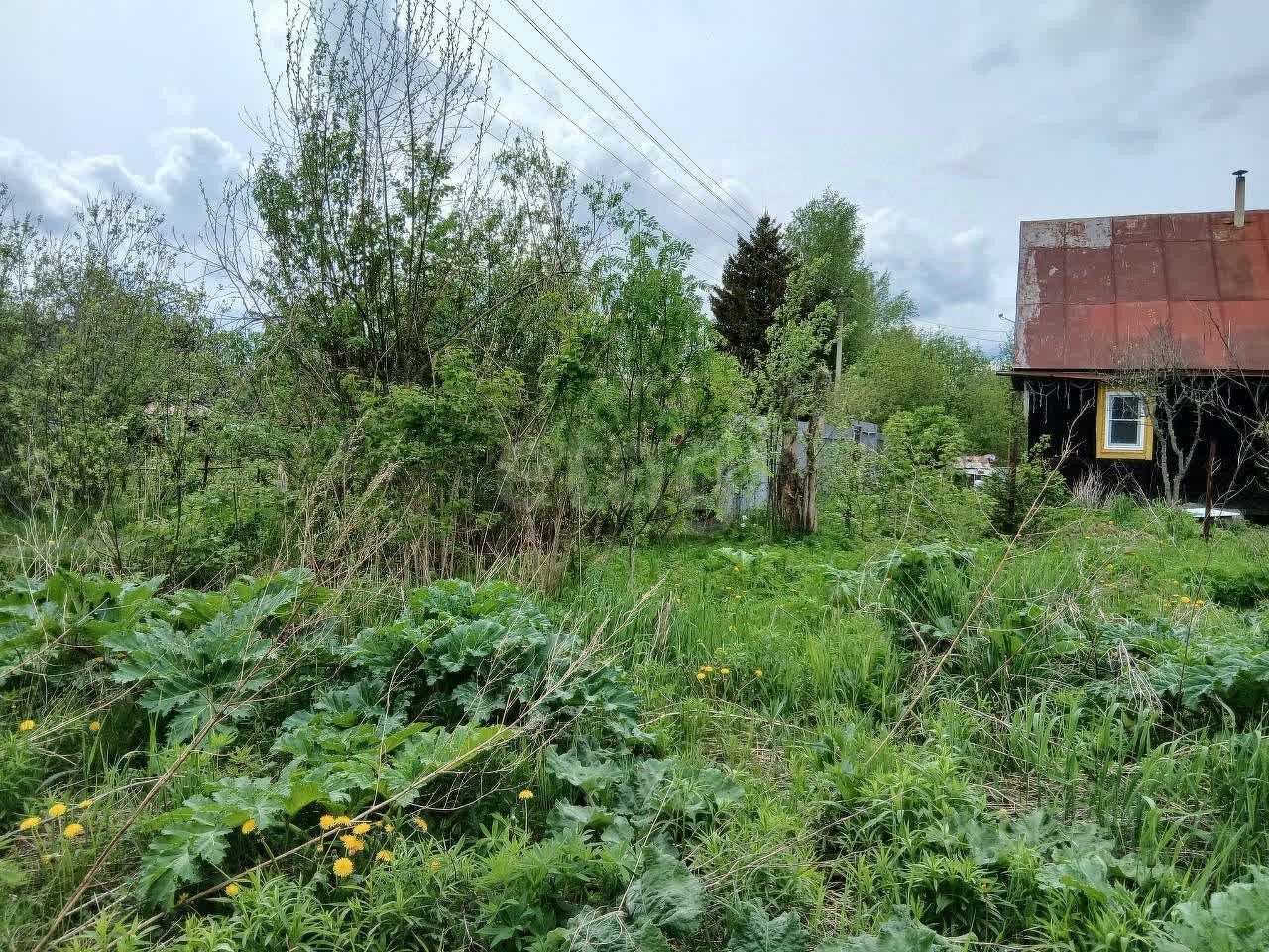 Продажа земли Пупышево садоводческий массив, Волхов СНТ, 1-я линия,  д. 10