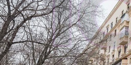 4-комн квартира 6-й Рощинский проезд, 1