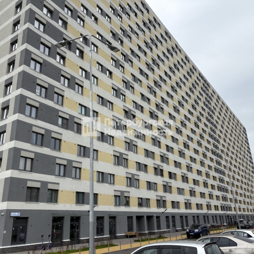 Студия пр-кт Большевиков, д 68 к 1 стр 1